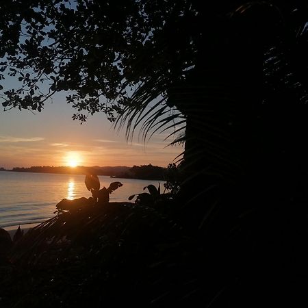 Port Antonio Brian'S Beach House Exterior photo