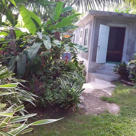 Port Antonio Brian'S Beach House Bed & Breakfast Exterior photo