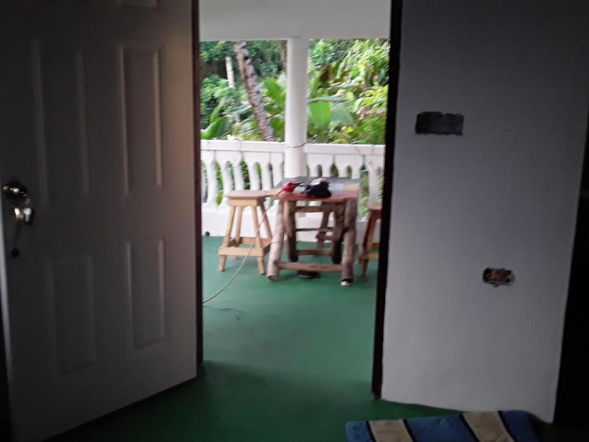 Port Antonio Brian'S Beach House Exterior photo