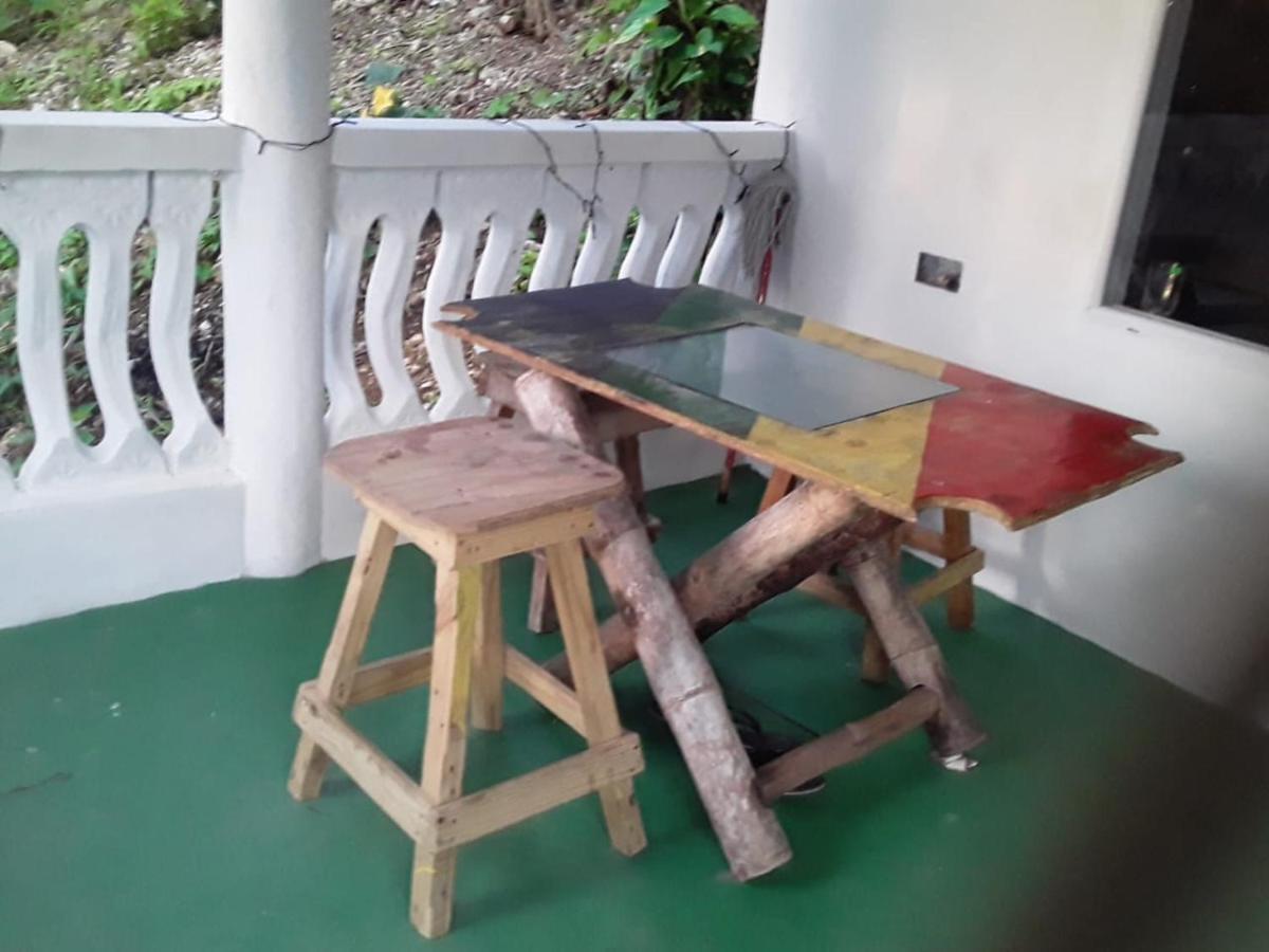 Port Antonio Brian'S Beach House Exterior photo