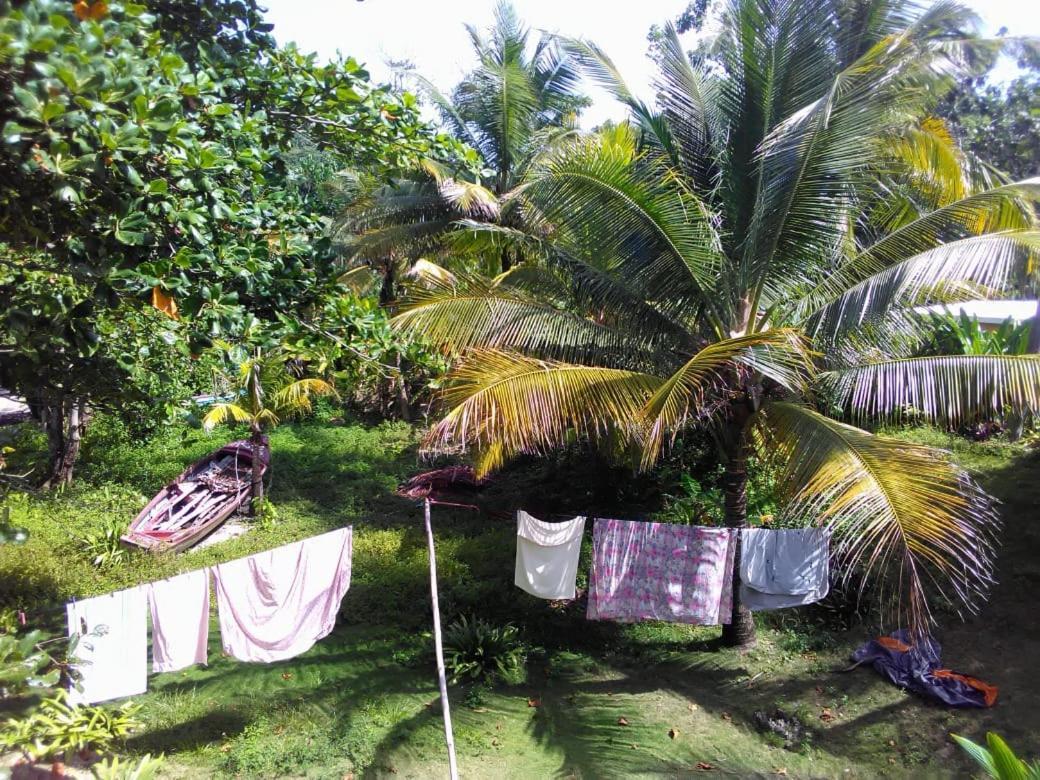 Port Antonio Brian'S Beach House Exterior photo