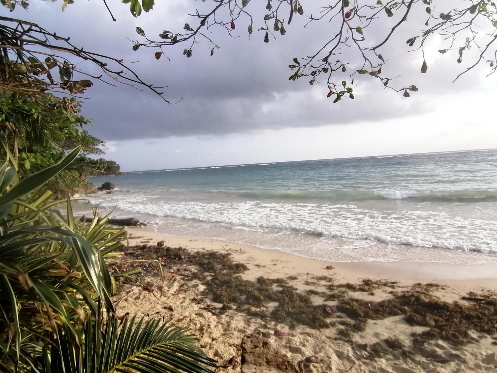 Port Antonio Brian'S Beach House Exterior photo