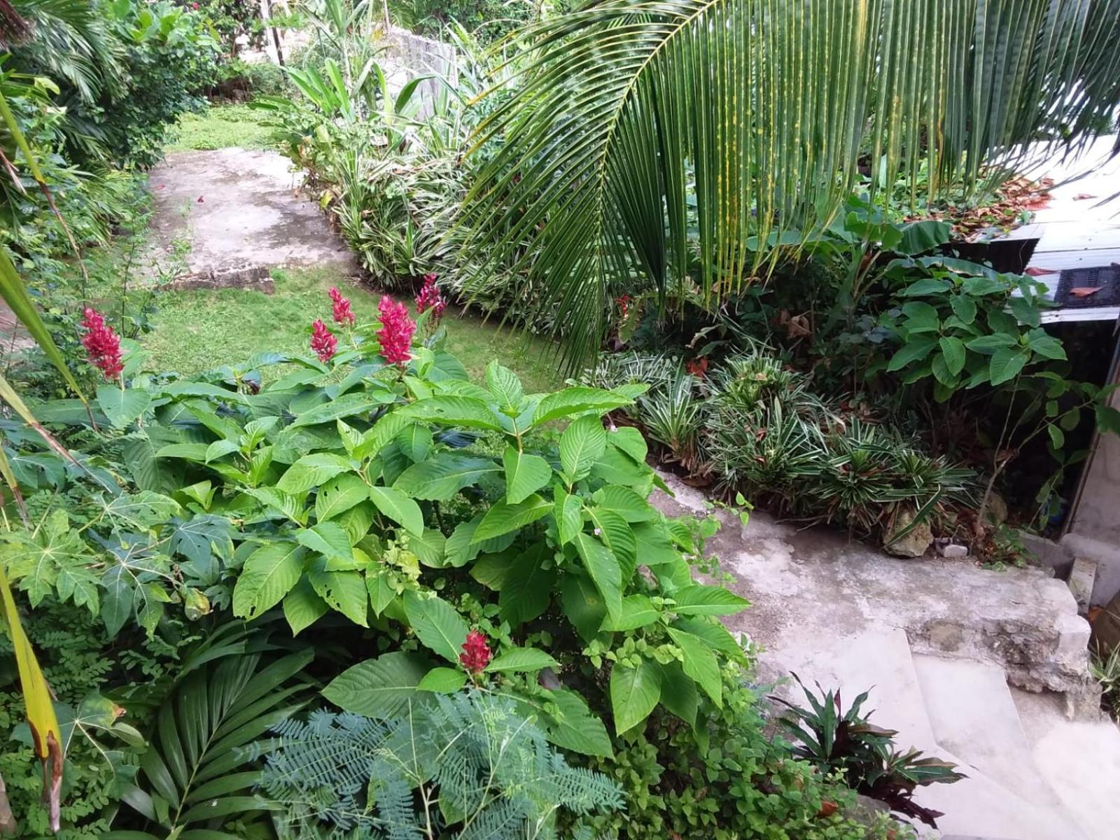 Port Antonio Brian'S Beach House Exterior photo