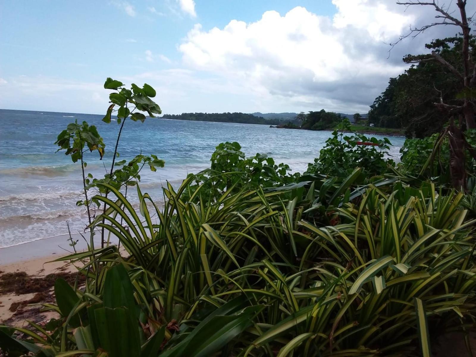 Port Antonio Brian'S Beach House Exterior photo