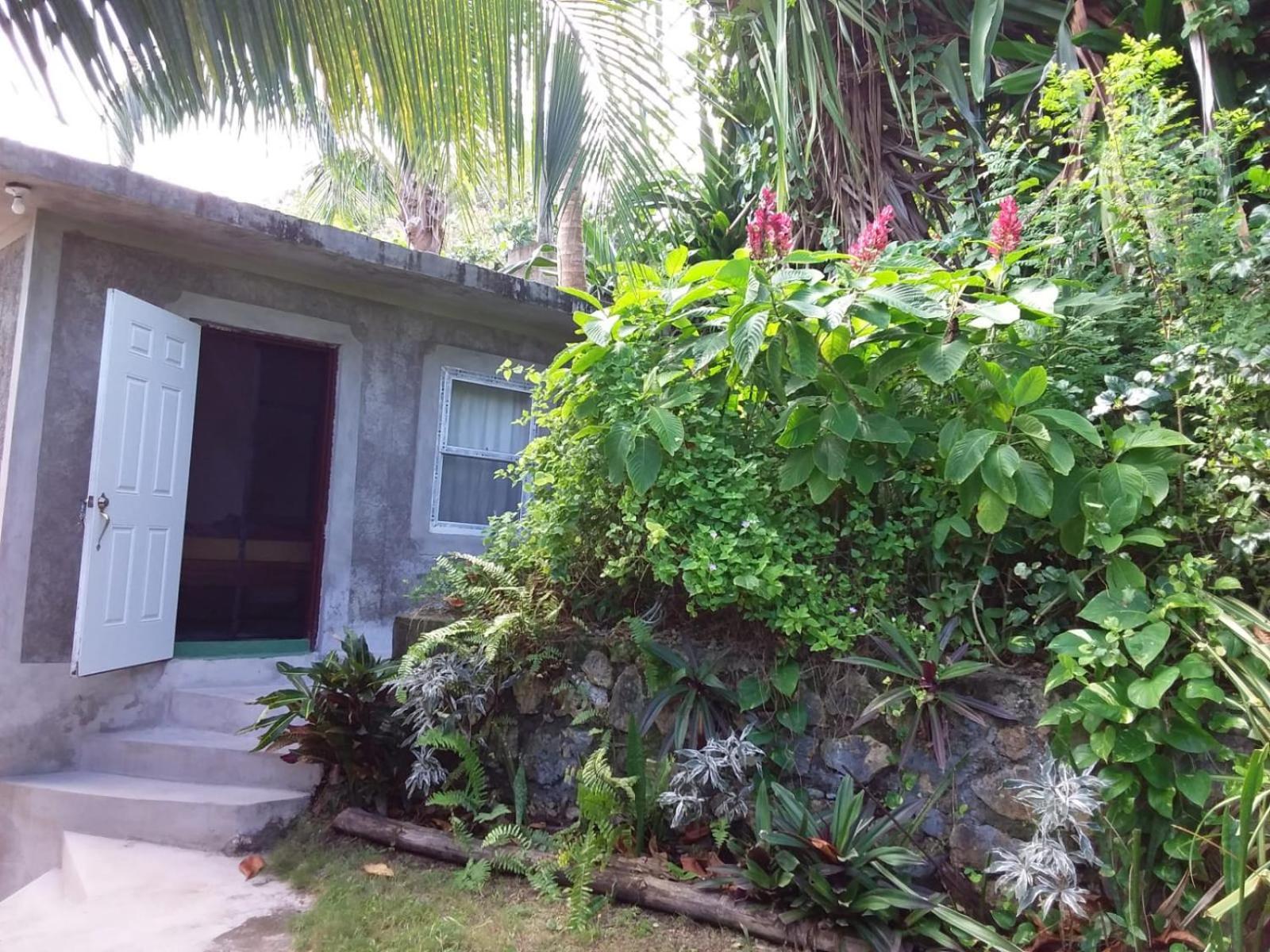 Port Antonio Brian'S Beach House Exterior photo