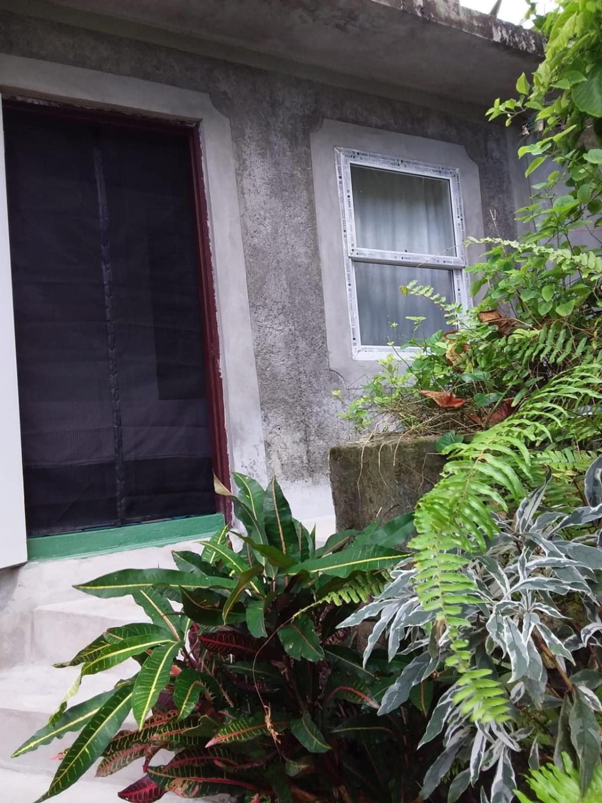 Port Antonio Brian'S Beach House Exterior photo